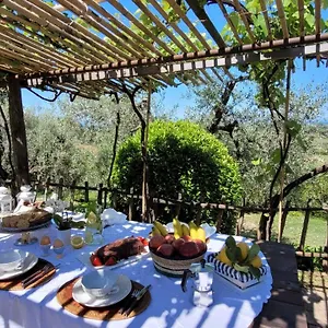https://agriturismo-villa-carducci.it-tuscanyhotel.com